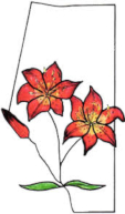 Alberta Regional Lily Society Logo
