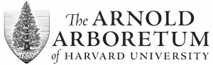 Arnold Arborteum