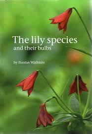 Lily Species book cover